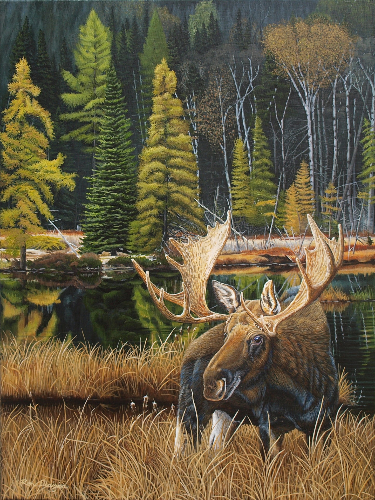 Noble Presence - Sold - image 0