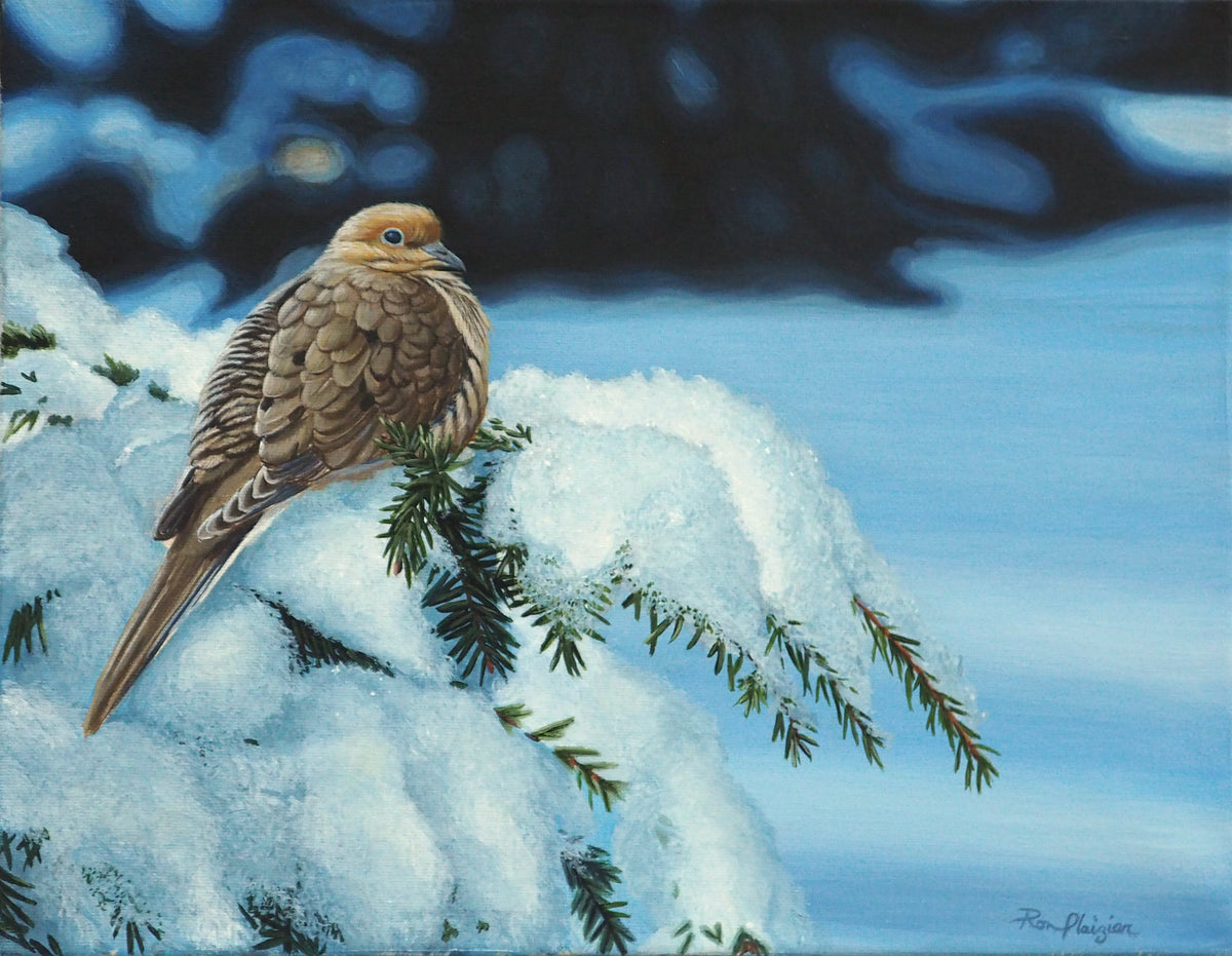 Cold Comfort - 11"x14" - Sold-
