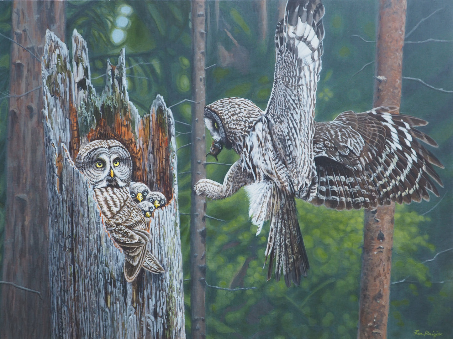 Guardians of the Forest - 18"x24" - Sold -