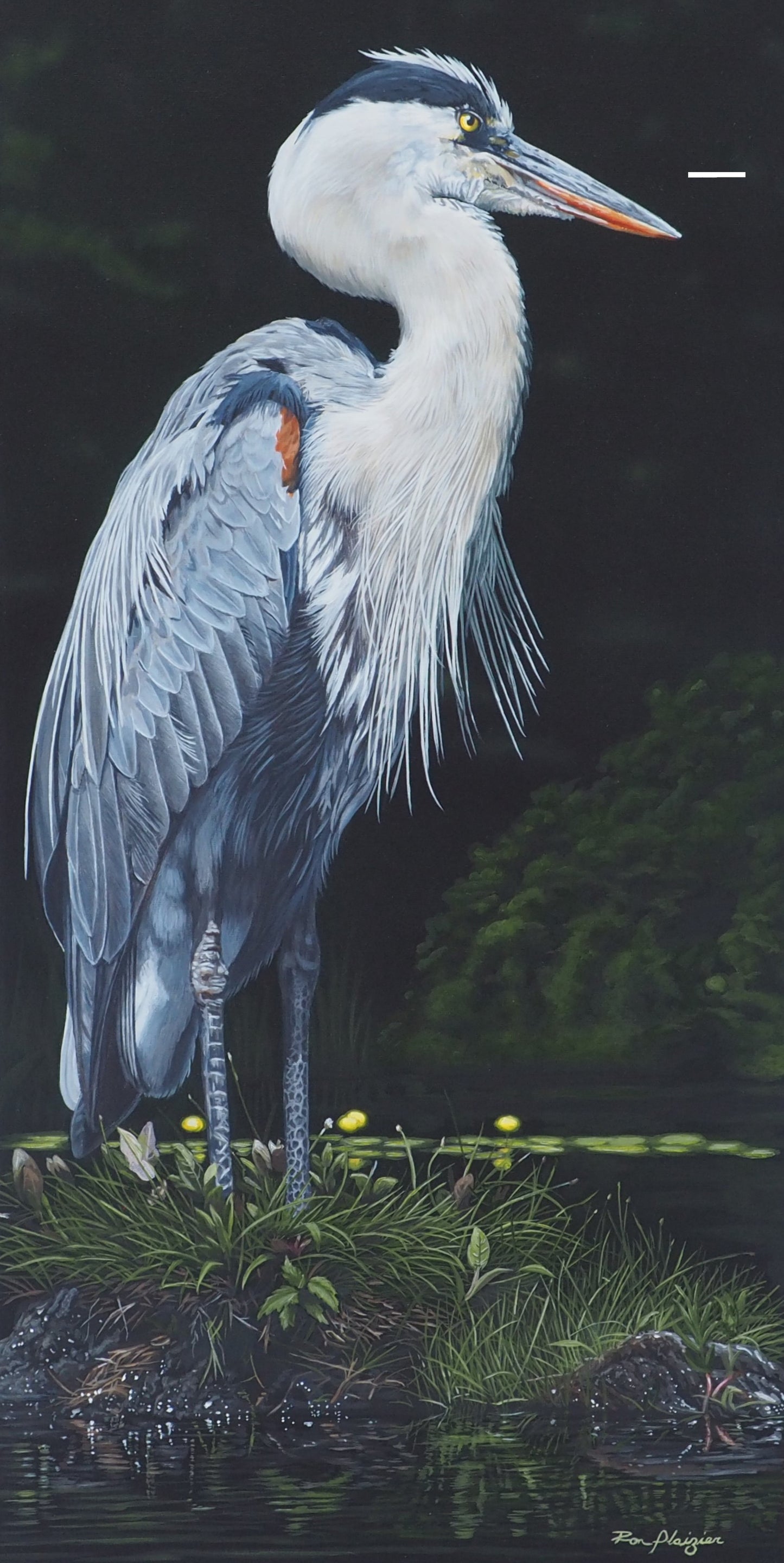 Still Blue -30"x15" -Sold-