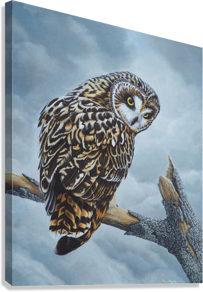 2334260 :: Giclée Stretched Canvas Print