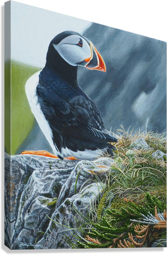 2455485 :: Giclée Stretched Canvas Print