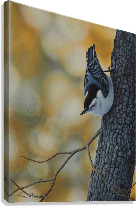 2455487 :: Giclée Stretched Canvas Print