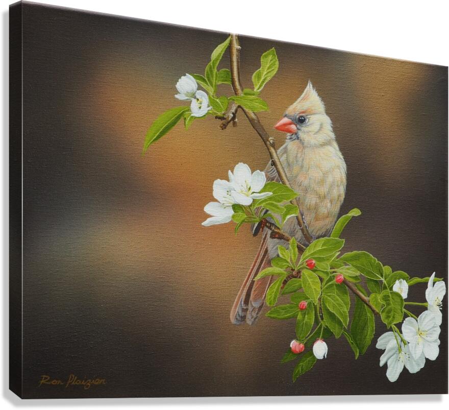 2455499 :: Giclée Stretched Canvas Print