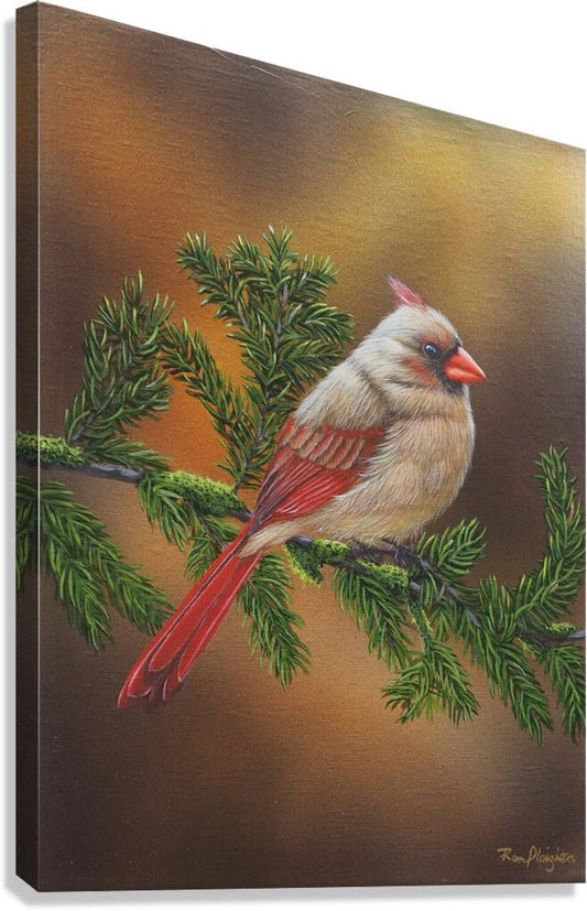 2477403 :: Giclée Stretched Canvas Print