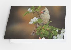 Scarlet Melody - Card image 0