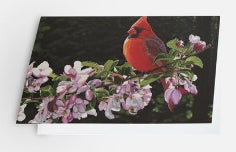Morning Melody - Card image 0
