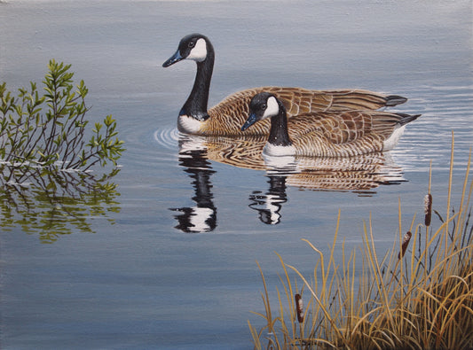 Calm Waters -Canada Geese -Sold- image 0