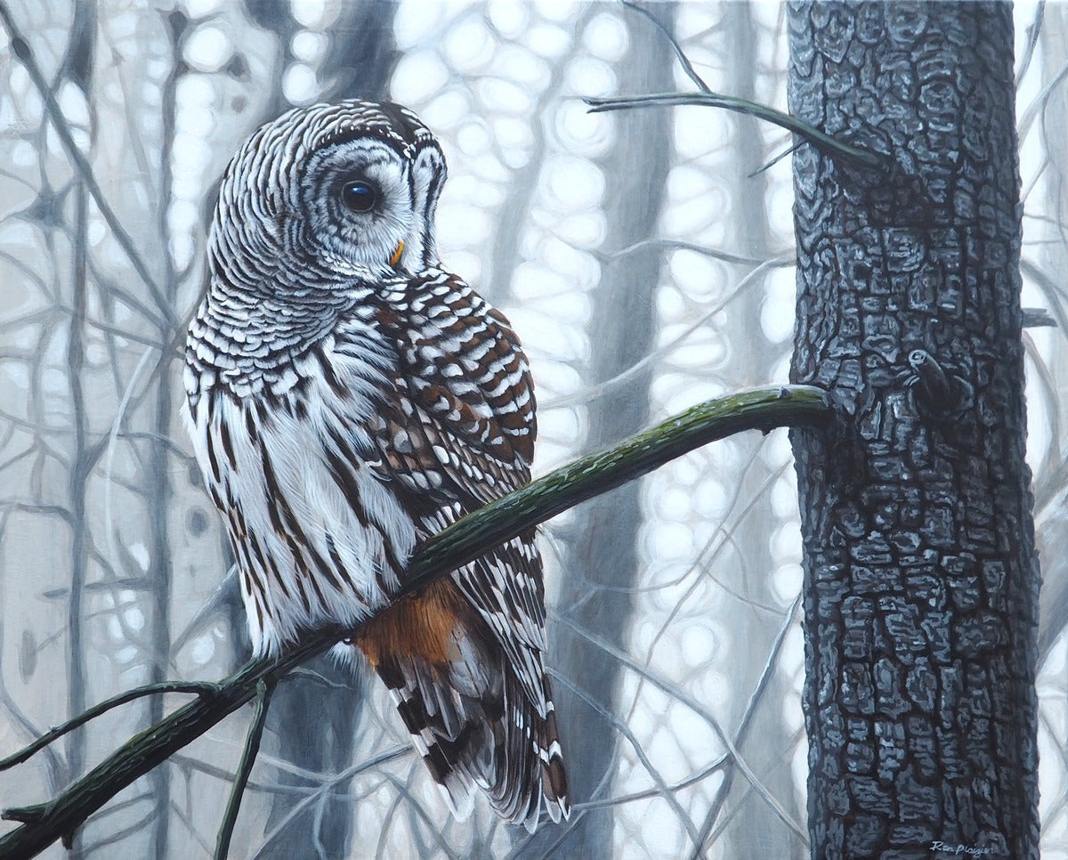 2334261 :: Giclée Fine Art Matte Paper Print