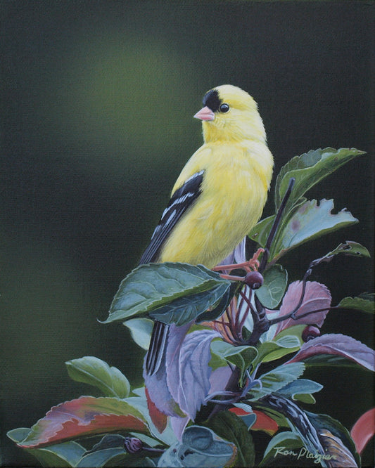 2455514 :: Giclée Fine Art Matte Paper Print