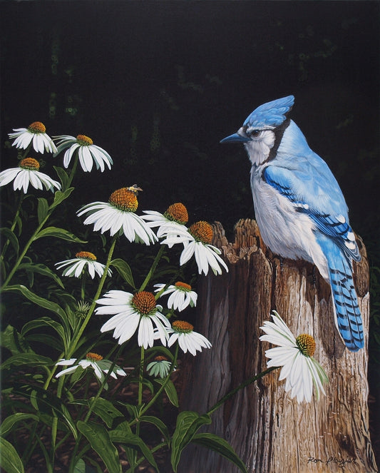 2455510 :: Giclée Fine Art Matte Paper Print
