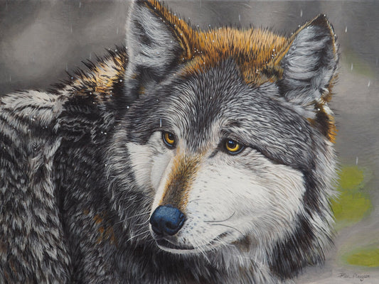 2455488 :: Giclée Fine Art Matte Paper Print