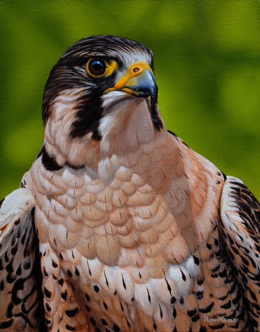 Intensity - Peregrine  - Sold image 0