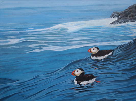 Machias Island Puffins 18"x24" - Sold image 0