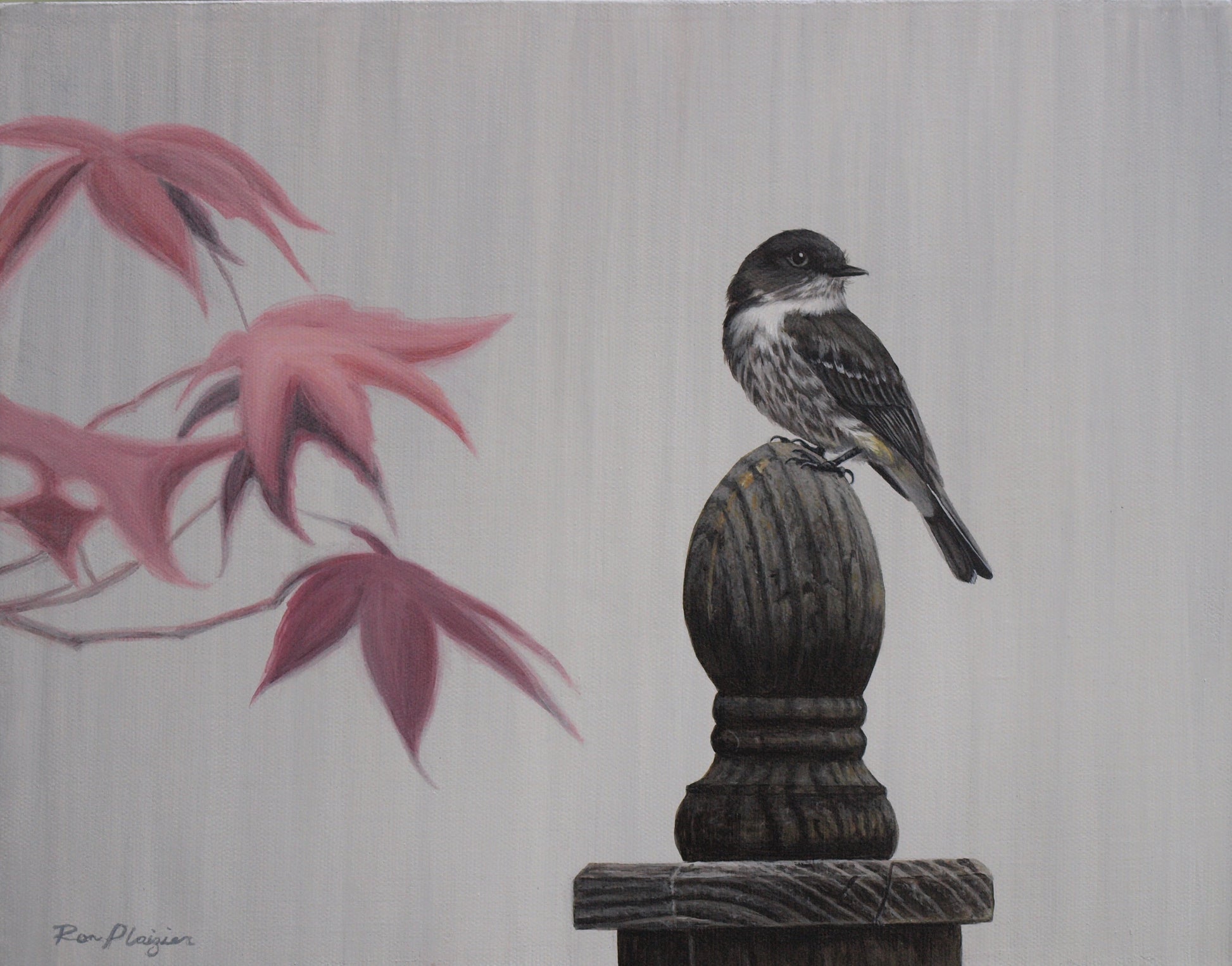 Olive-sided Flycatcher - 11"x14" Original image 0