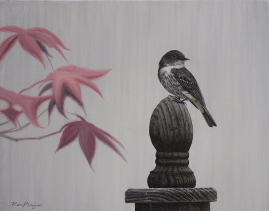 Olive-sided Flycatcher - 11"x14" Original image 0