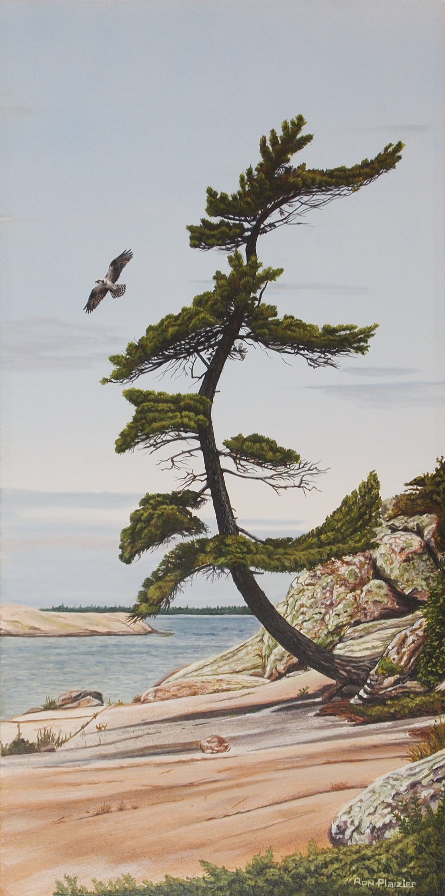 Windswept - 24"x12" - Sold - image 0