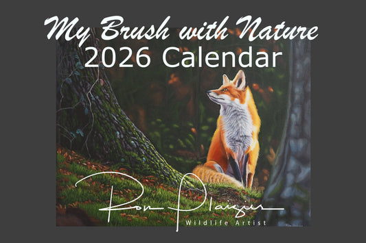 2026 Wildlife Artist Calendar