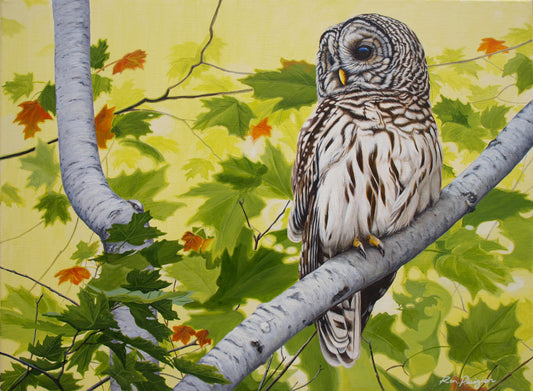 Close Encounter - Sold - image 0