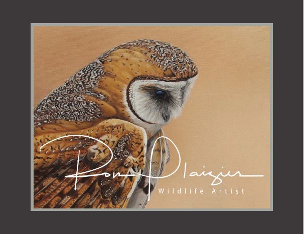 Wildlife Art 2019 Calendar - Out of Stock image 0