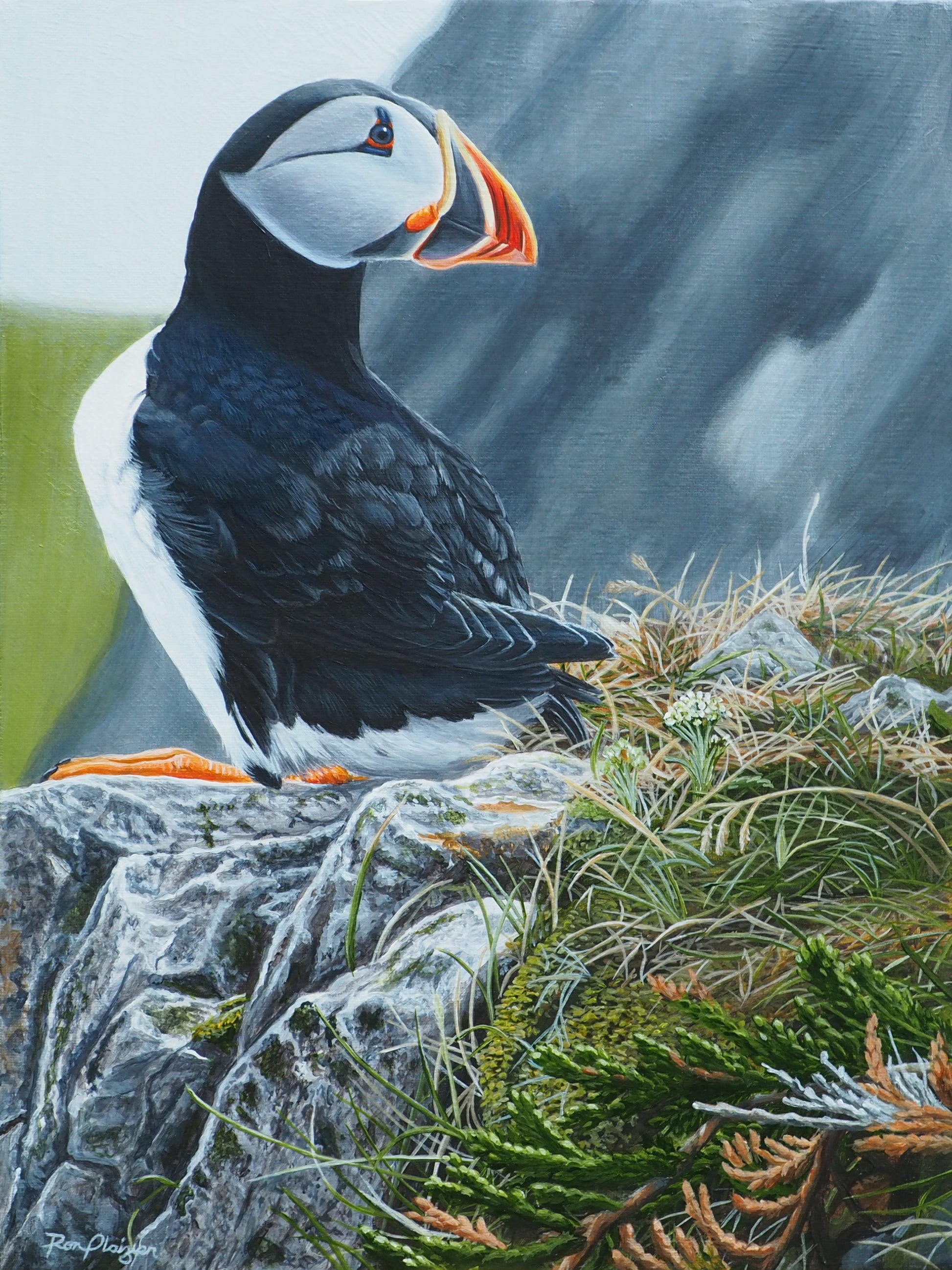 Clown of the Sea - 16"x12" - Sold - image 0