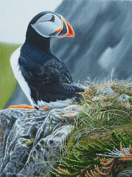 Clown of the Sea - 16"x12" - Sold - image 0