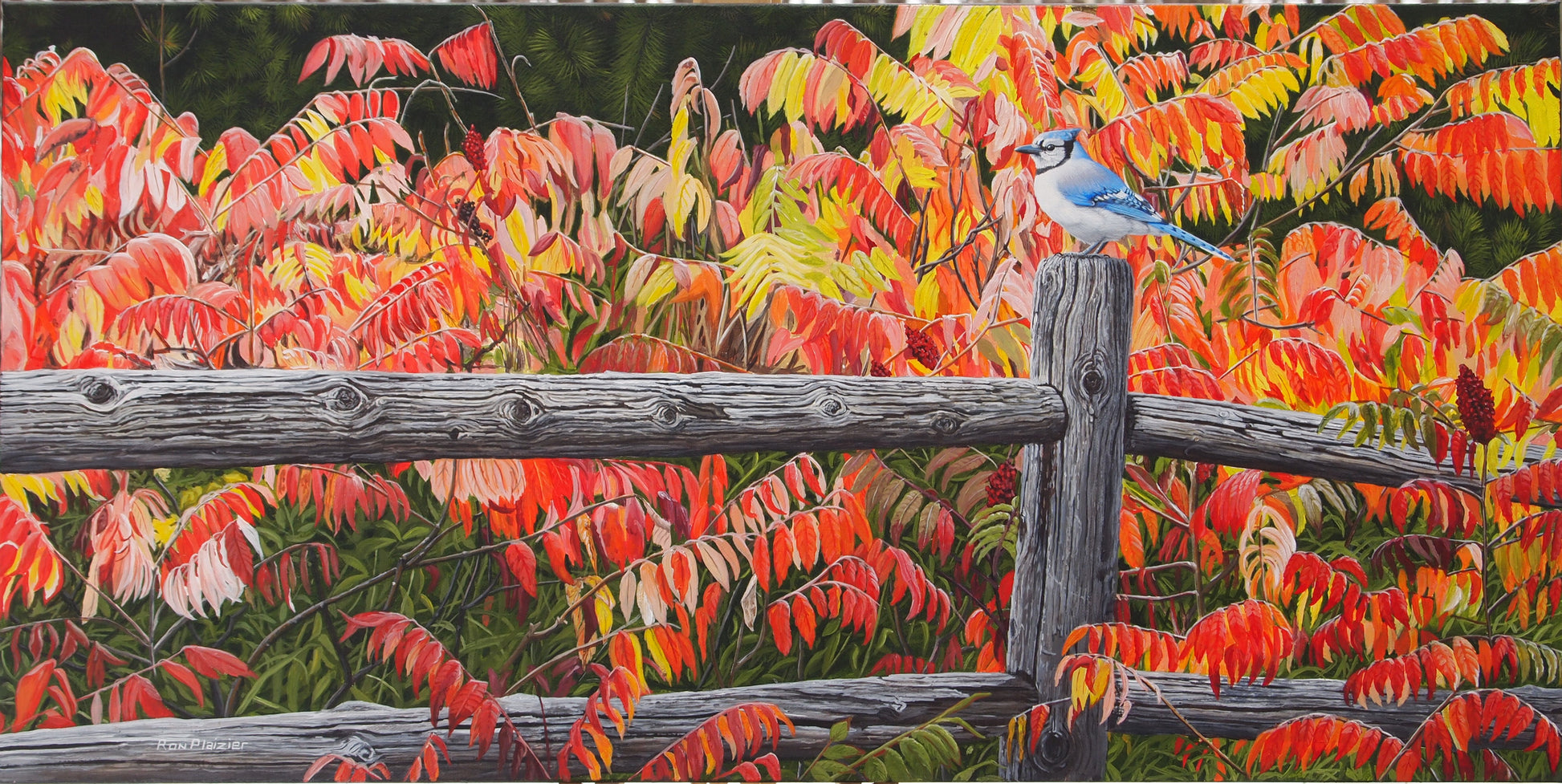 Autumn Blaze - Bluejay 15"x30" framed original image 0
