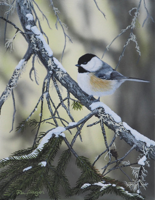 Chickadee-dee-dee - 14"x11"- Sold - image 0