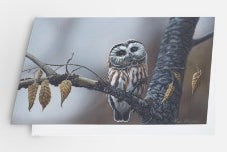 Small Wonder - Card image 0