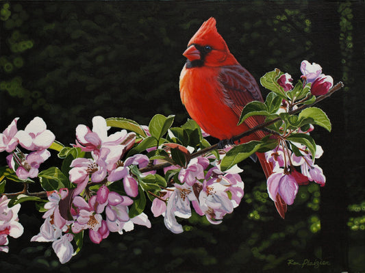Morning Melody - 12"x16" - Sold - image 0
