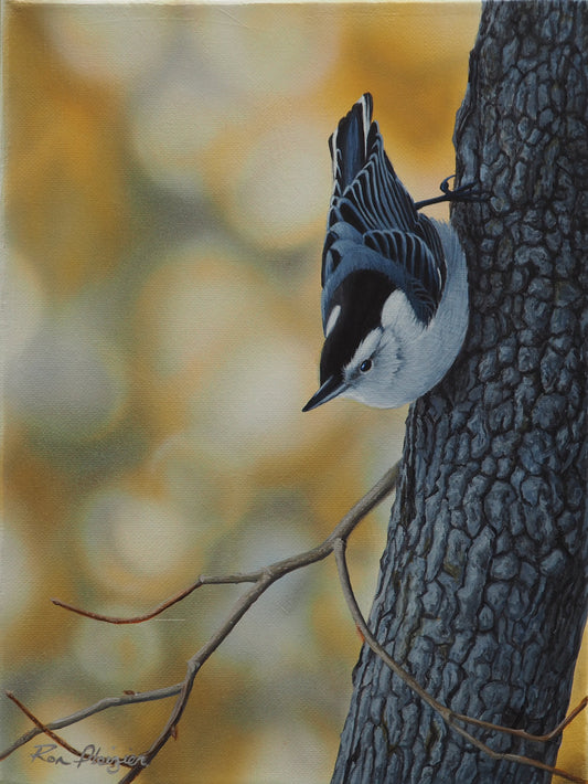 Nuthatches Niche - 12"x9" - Sold - image 0
