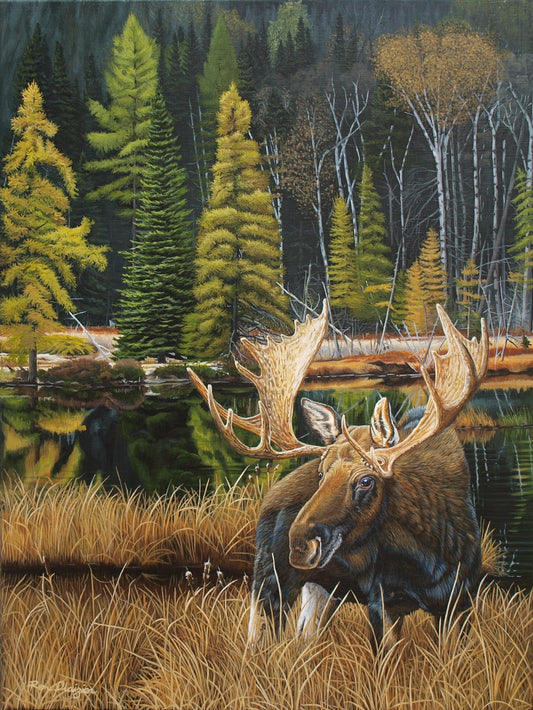 Noble Presence - Sold - image 0