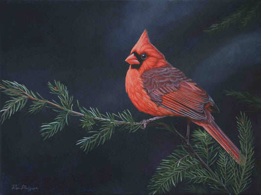 A Splash of Red - Northern Cardinal - 9"x12" Original Framed image 0