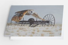 Taking Flight - Card image 0