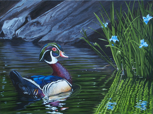Calm Waters II - Wood Duck - SOLD - image 0