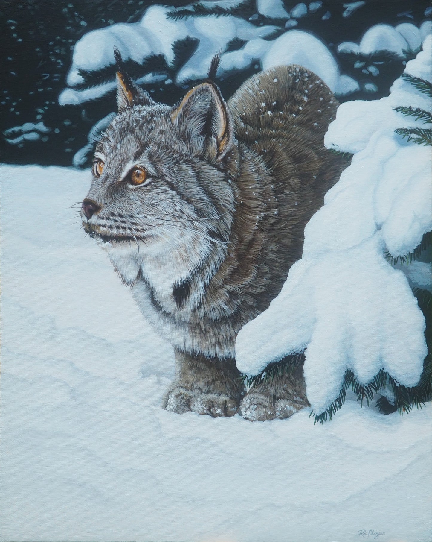 Winter's Embrace - Canada Lynx 20"x16" Original Framed image 0