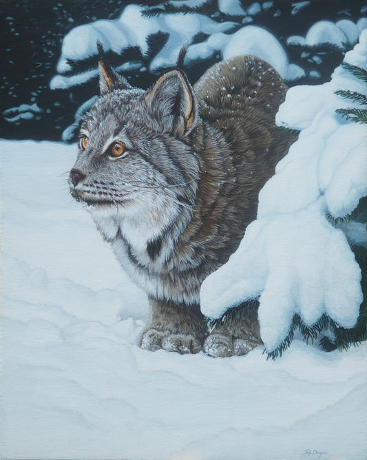 Winter's Embrace - Canada Lynx 20"x16" Original Framed image 0