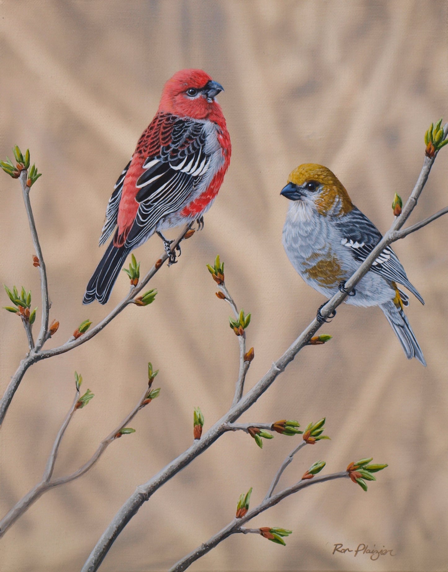 Budding Duet - 14"x11" - SOLD - image 0