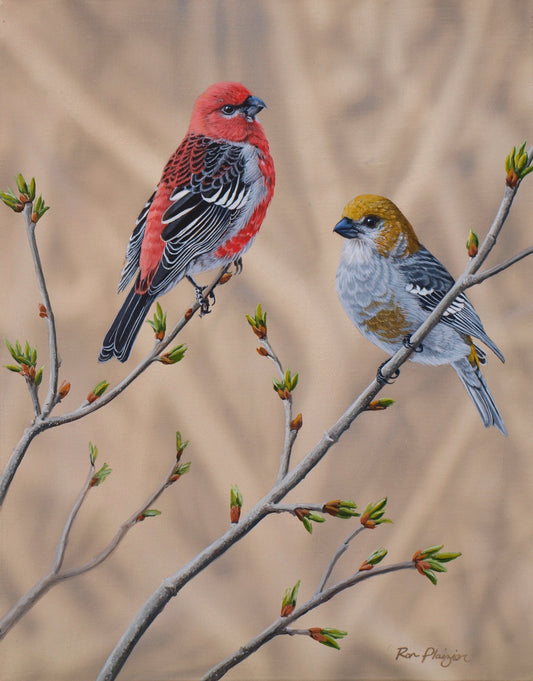 Budding Duet - 14"x11" - SOLD - image 0