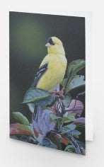 Golden Treasure - Card image 0