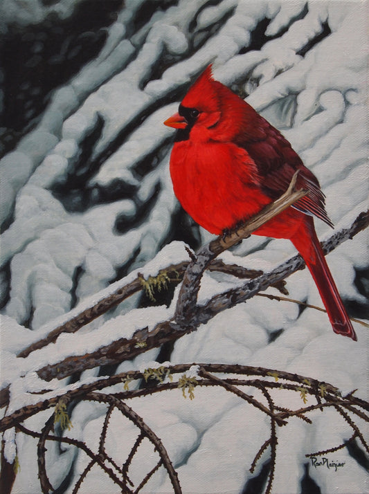 Winter's Fire - Male Cardinal - SOLD - image 0