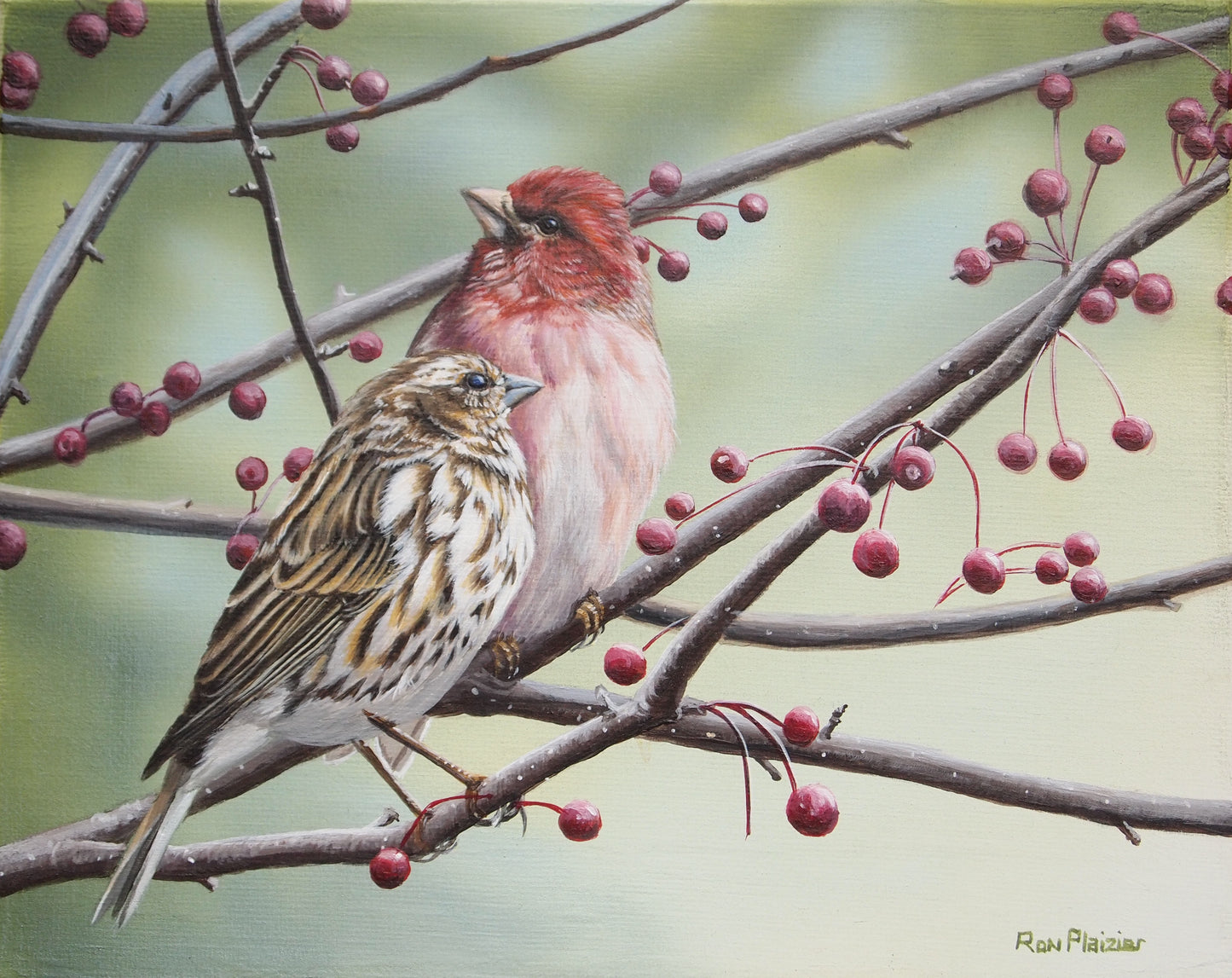 Purple Finches - 8"x10" framed original - SOLD - image 0