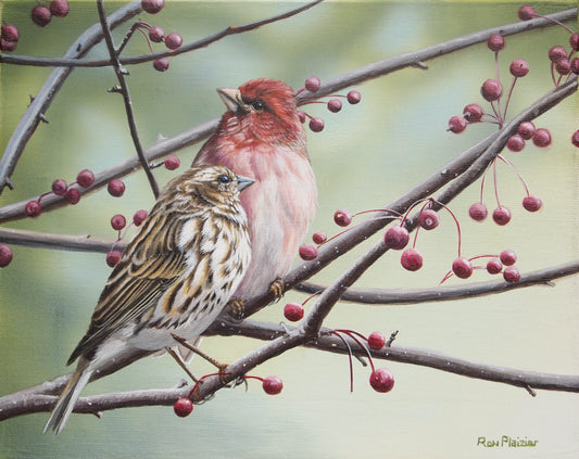 Purple Finches - 8"x10" framed original - SOLD - image 0