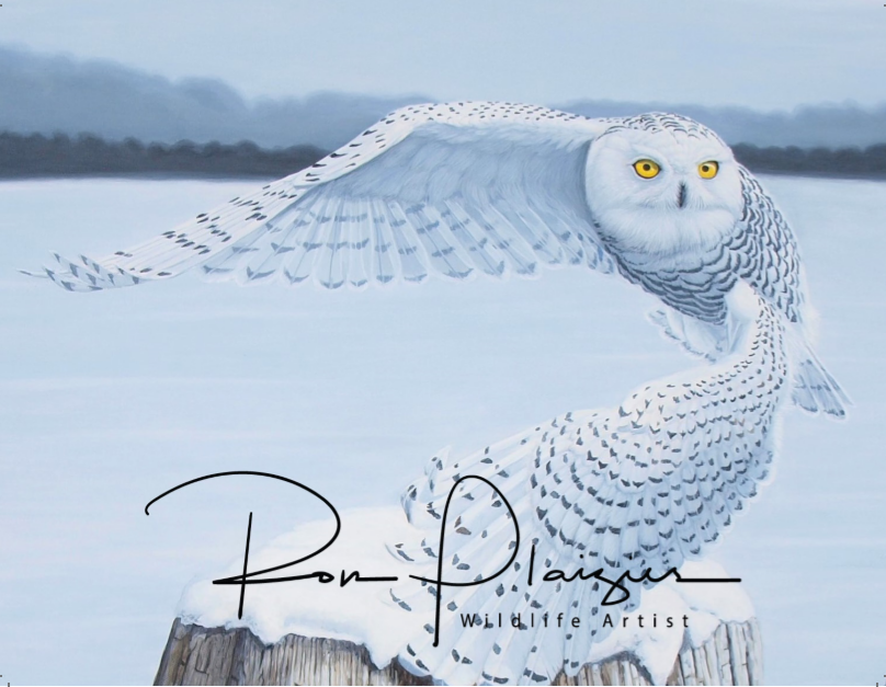 2020 Wildlife Art Calendar