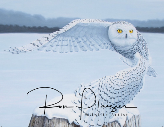2020 Wildlife Art Calendar