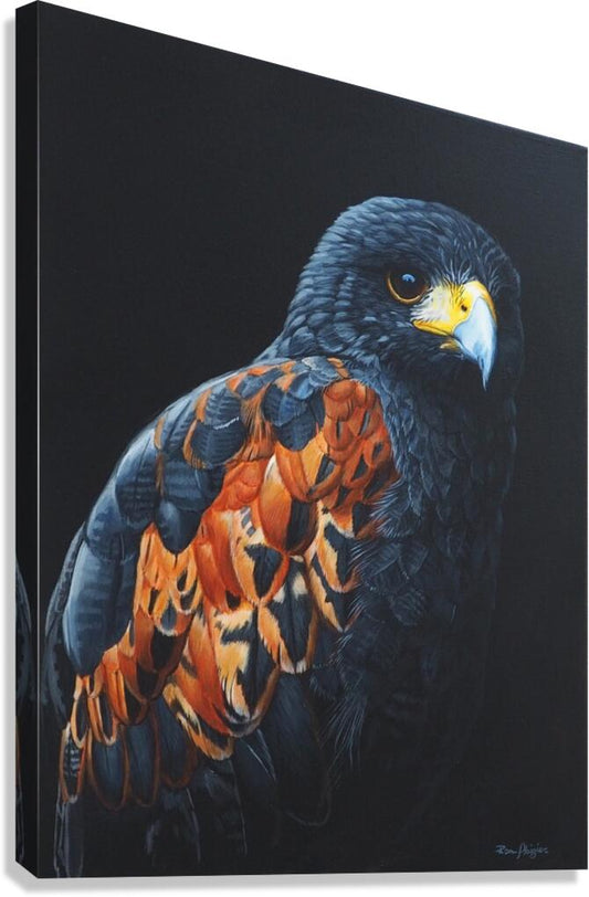 2719595 :: Giclée Stretched Canvas Print
