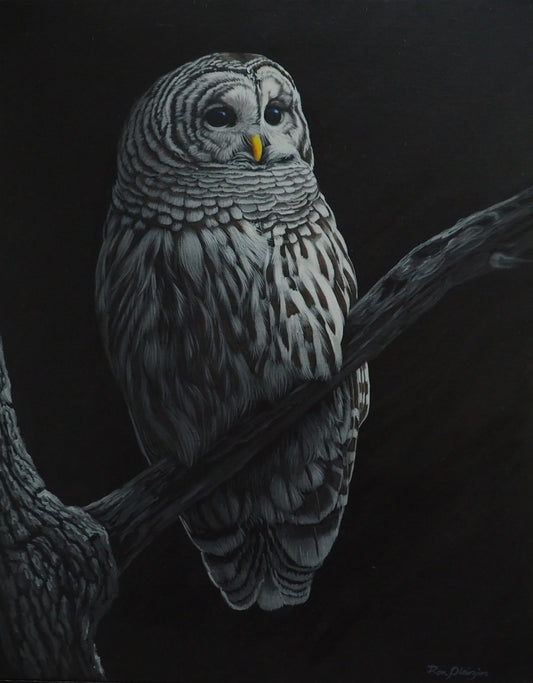 Moonlit Guardian - 20"x16" Original Framed