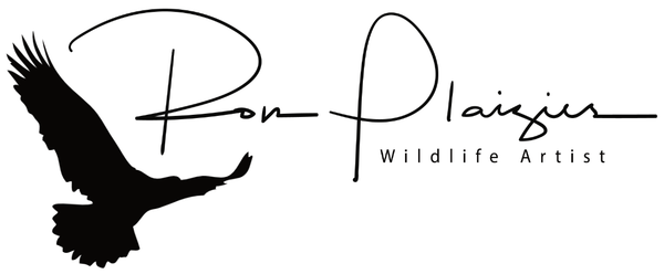 Ron Plazier - Wildlife Artist