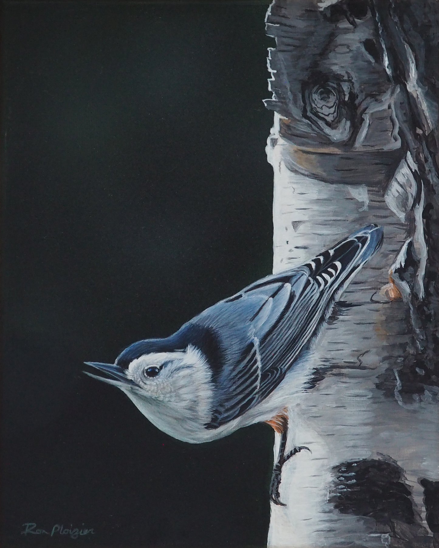 Nature's Acrobat - 8"x10" Original Framed