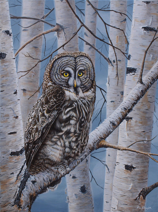 Phantom of the North - 24"x18" - SOLD -